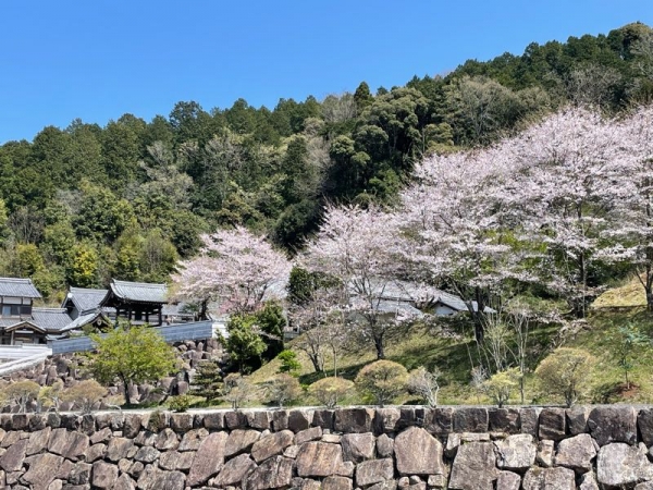 castle 城